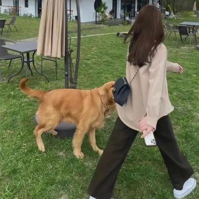 女仁医国语